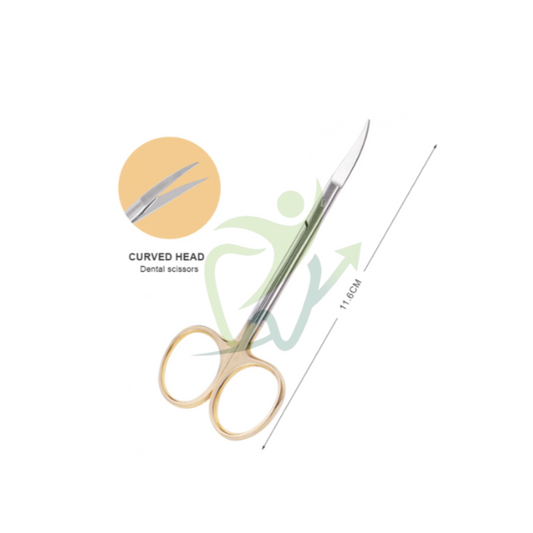 Ciseau à gencive courbé – Acier inox médical